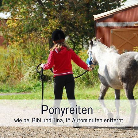 Natur-Chalet Zum Nationalpark Franz Inkl. E-Auto Allenbach Ngoại thất bức ảnh