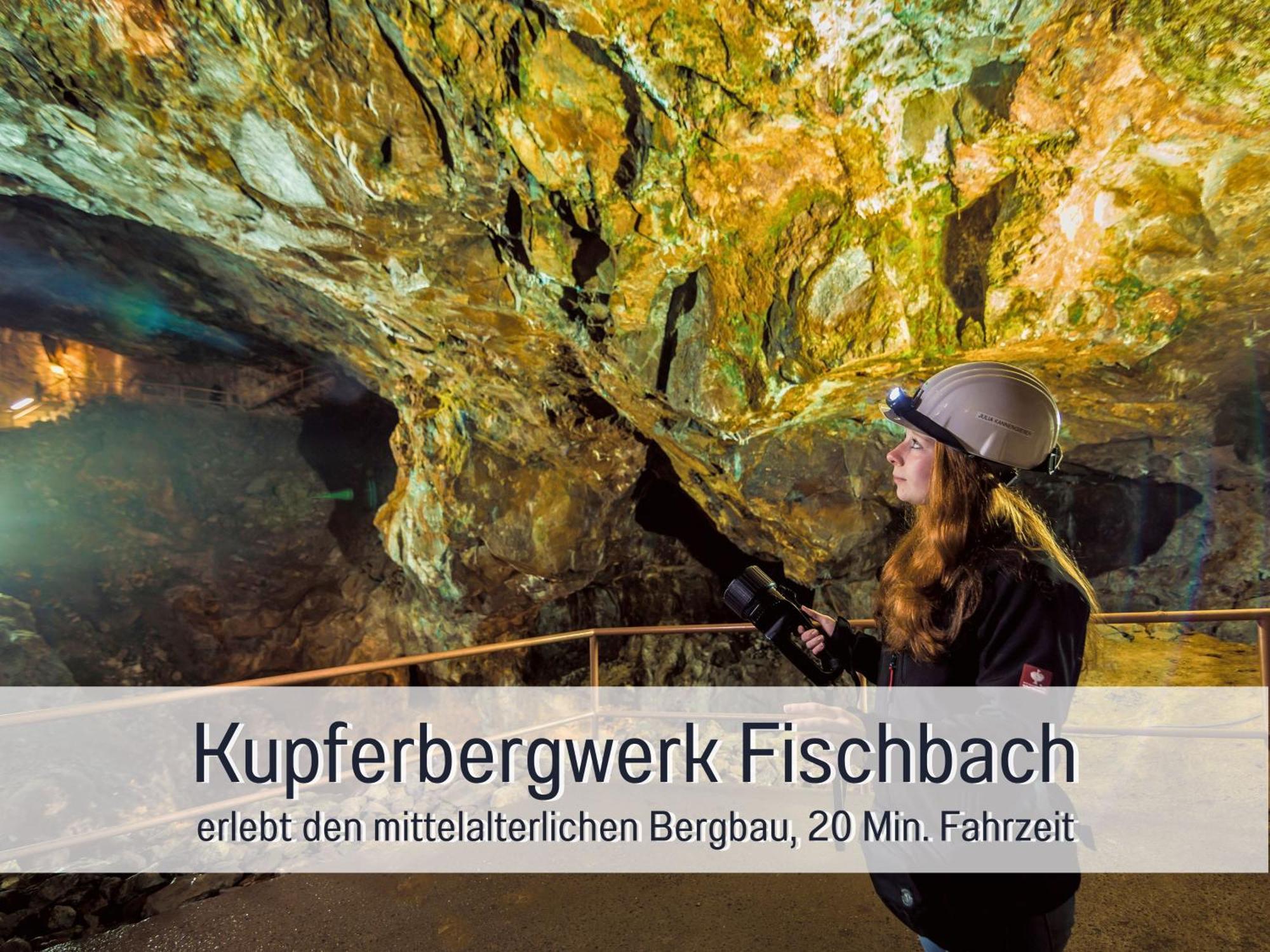 Natur-Chalet Zum Nationalpark Franz Inkl. E-Auto Allenbach Ngoại thất bức ảnh