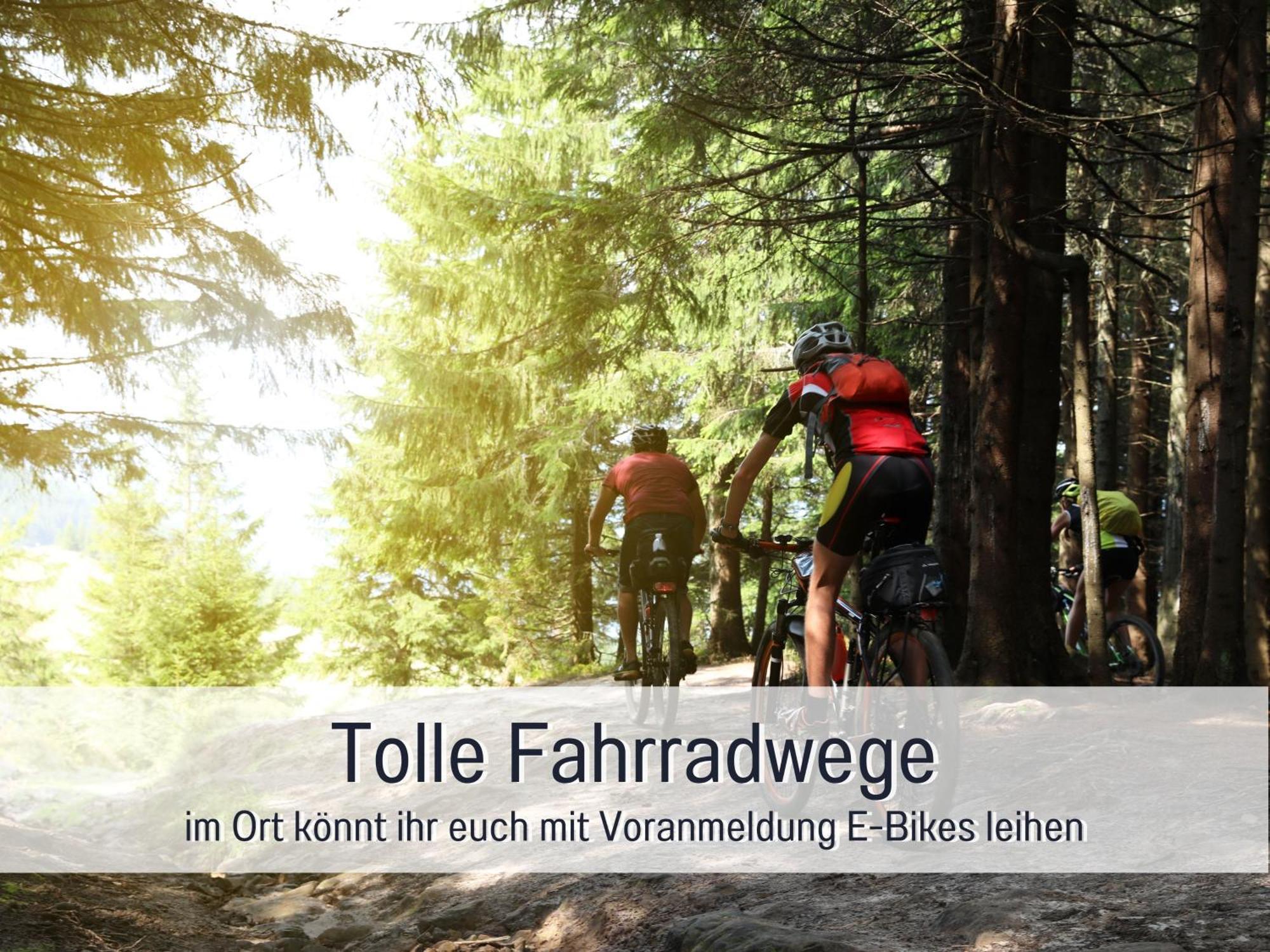 Natur-Chalet Zum Nationalpark Franz Inkl. E-Auto Allenbach Ngoại thất bức ảnh