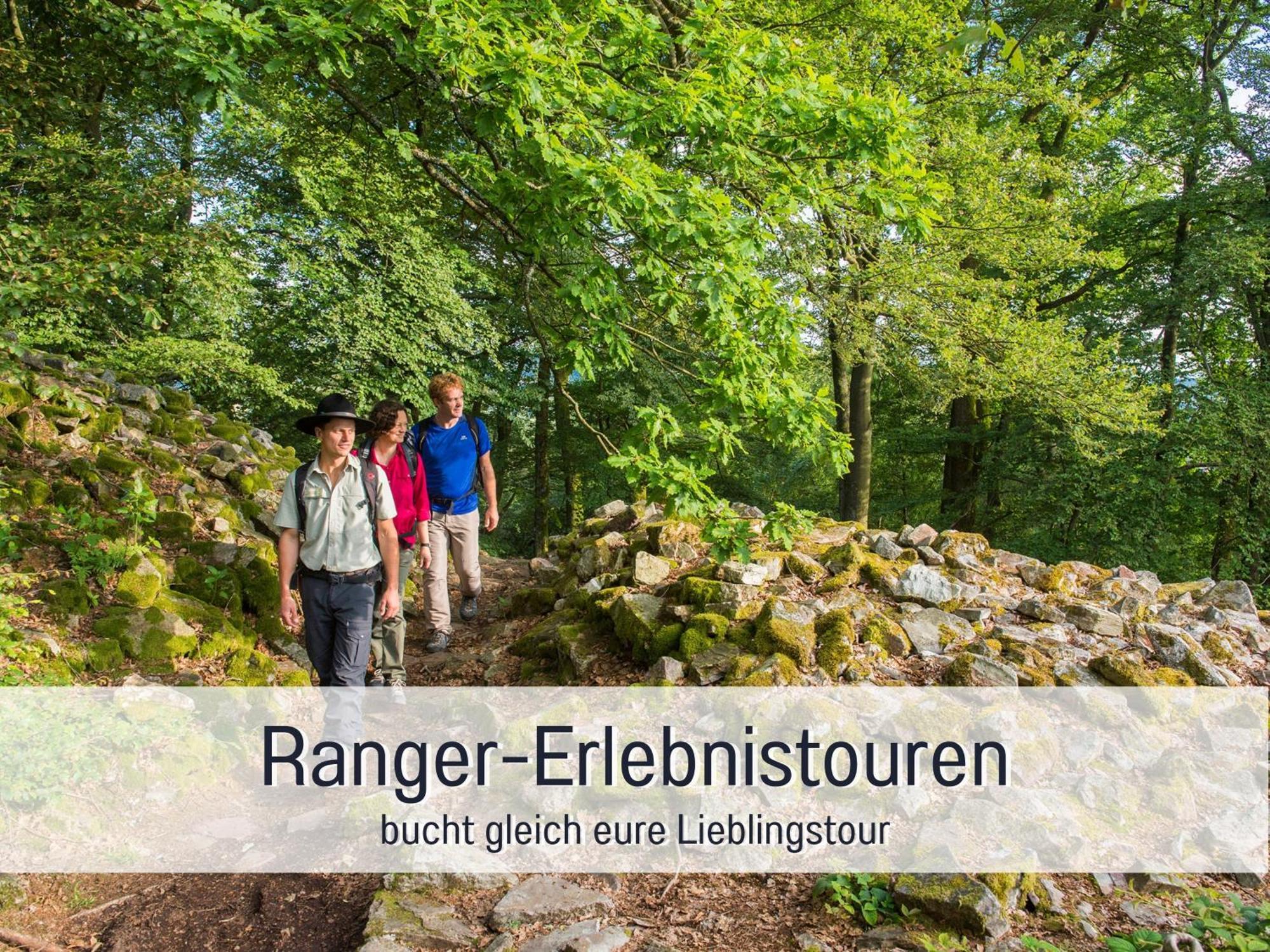 Natur-Chalet Zum Nationalpark Franz Inkl. E-Auto Allenbach Ngoại thất bức ảnh