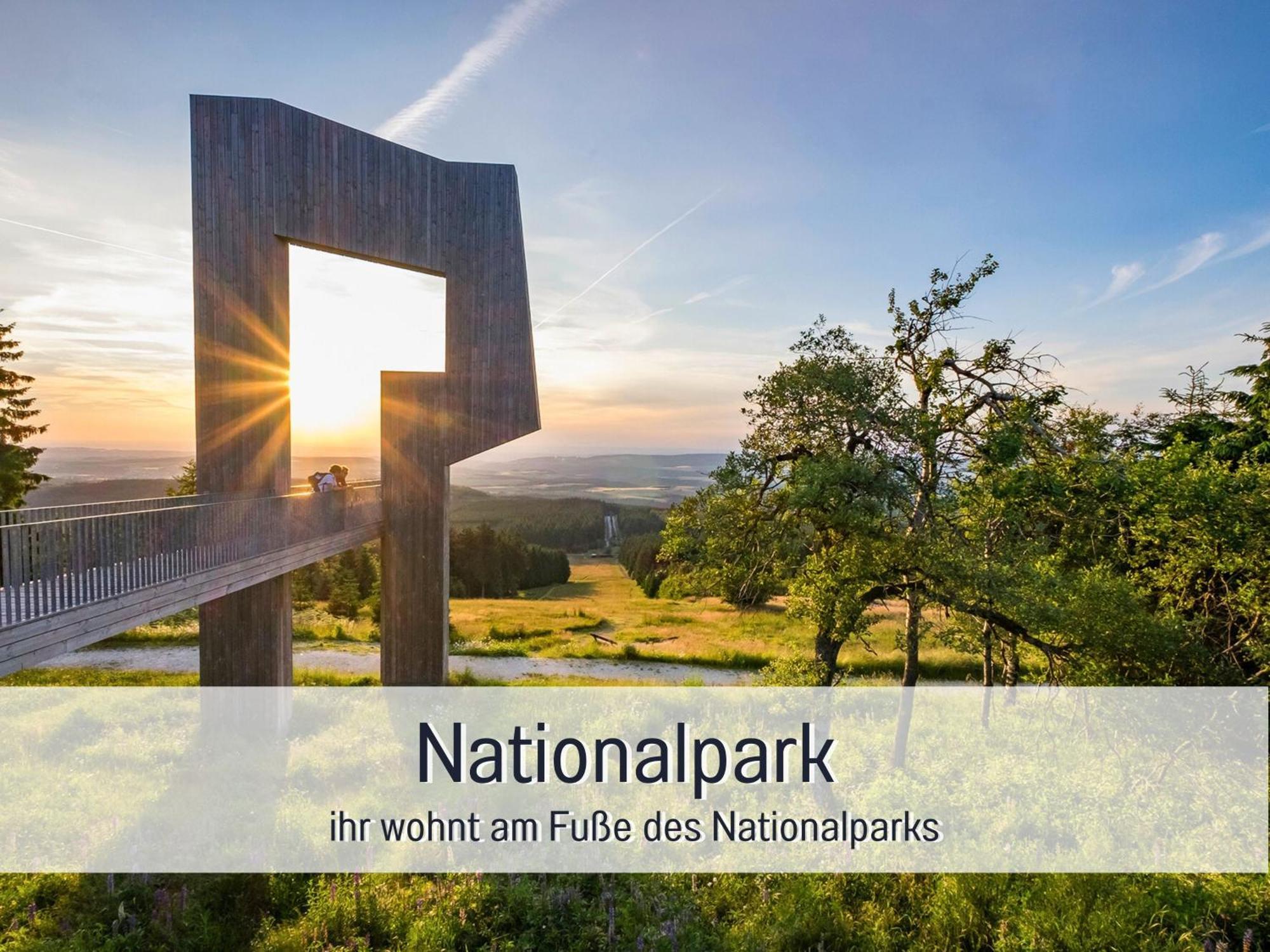 Natur-Chalet Zum Nationalpark Franz Inkl. E-Auto Allenbach Ngoại thất bức ảnh